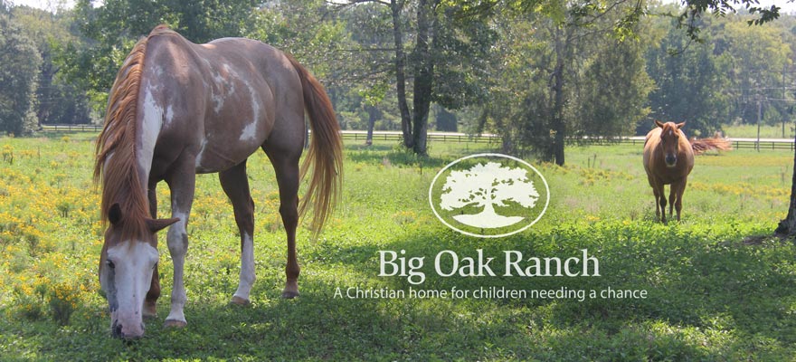 Big Oak Ranch Alabama Map.pdf Big Oak Ranch | Tower Homes